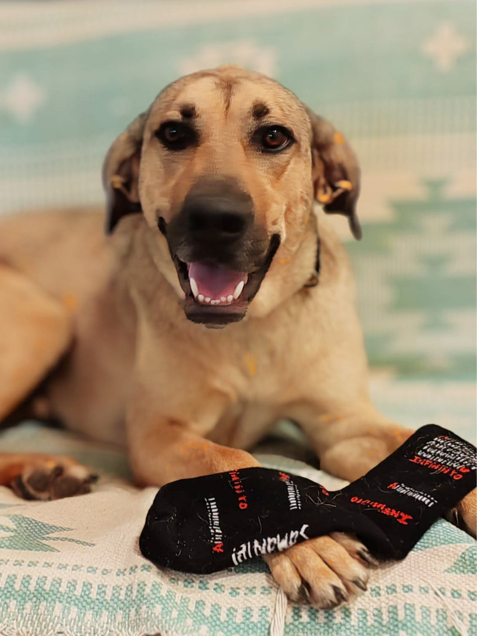 Pack 2 pares Calcetines (Samanté! e Infinito)