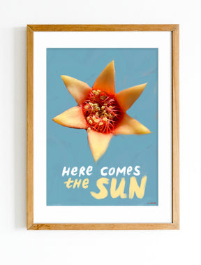 Print "Here comes the sun"